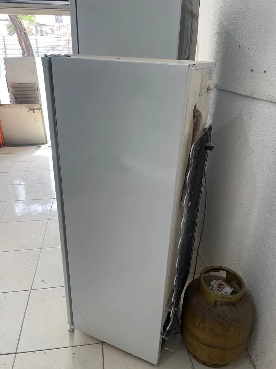 Consul palitinho  - Foto 5