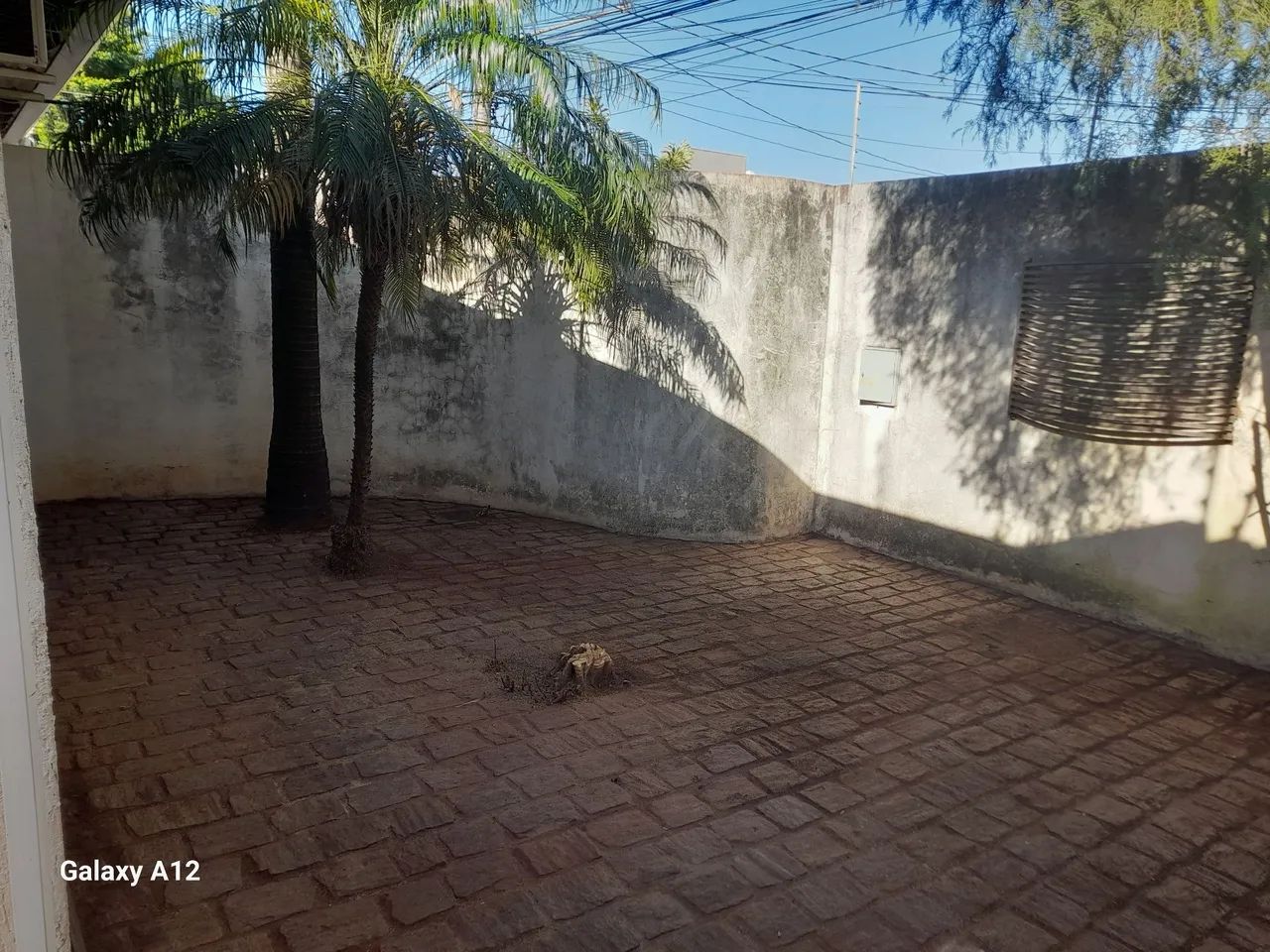 Jardinagens  - Foto 2
