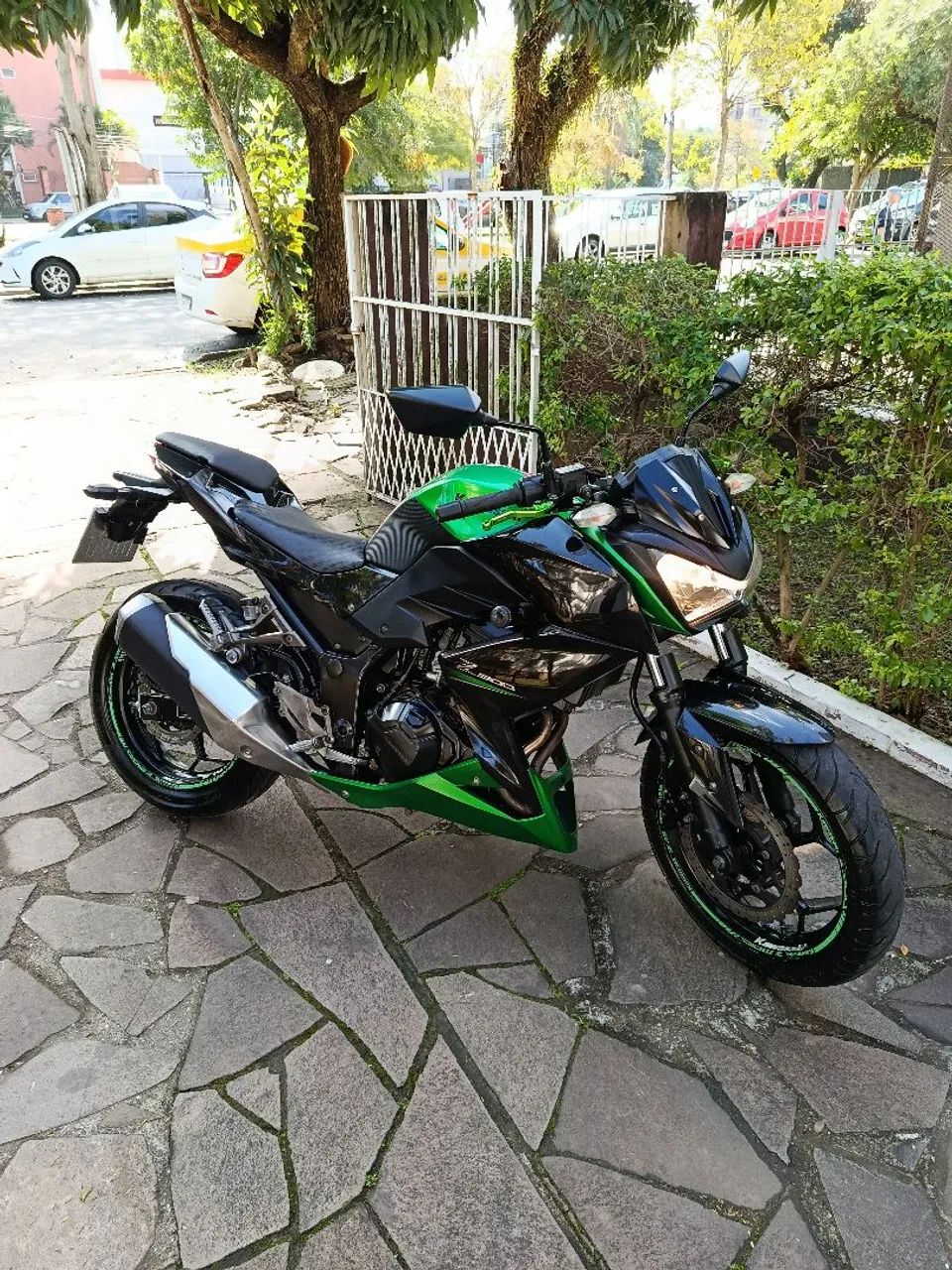 Kawasaki 300 2016 - 1511049440 | OLX