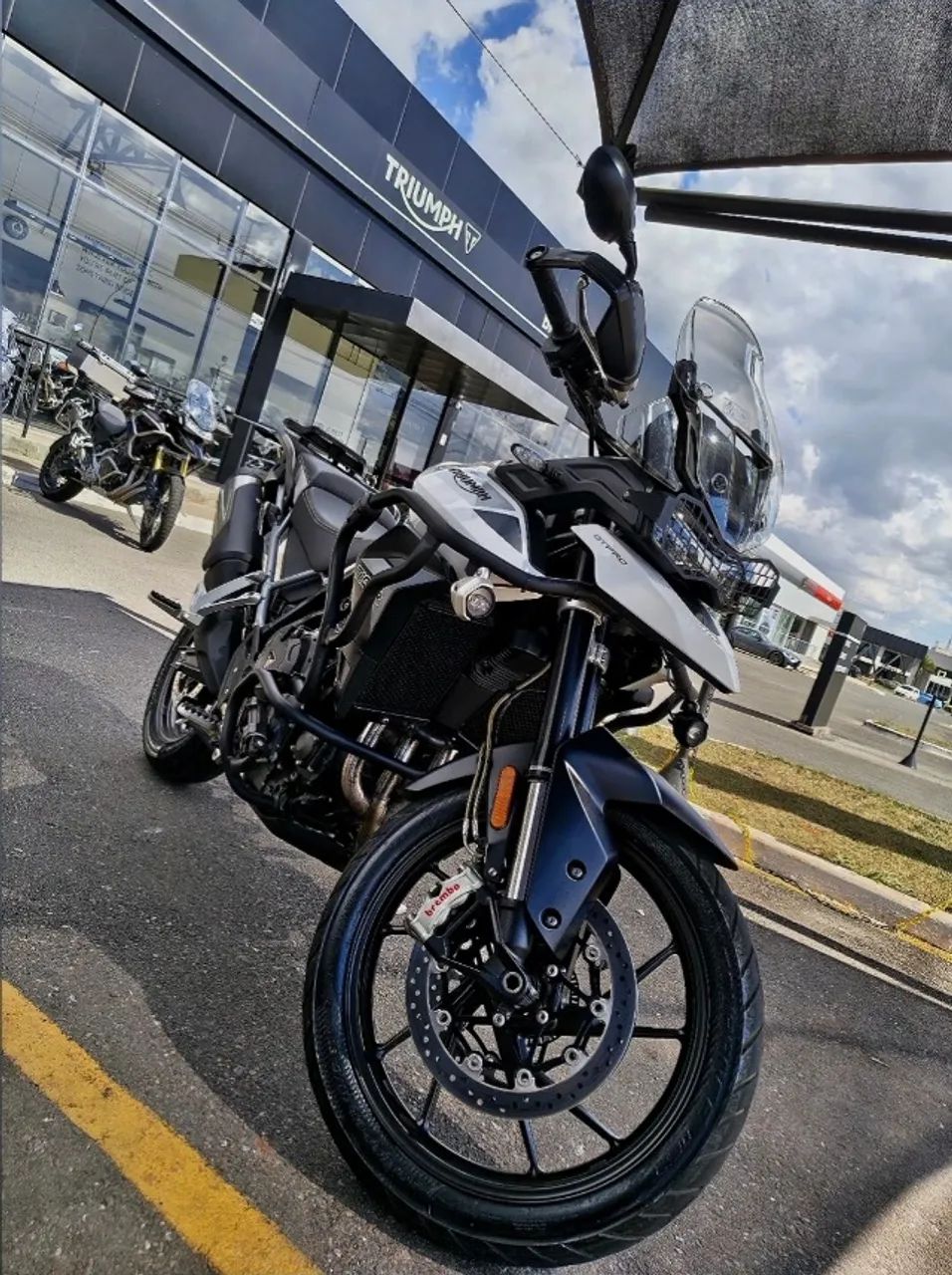 Tiger 900 Gt pro