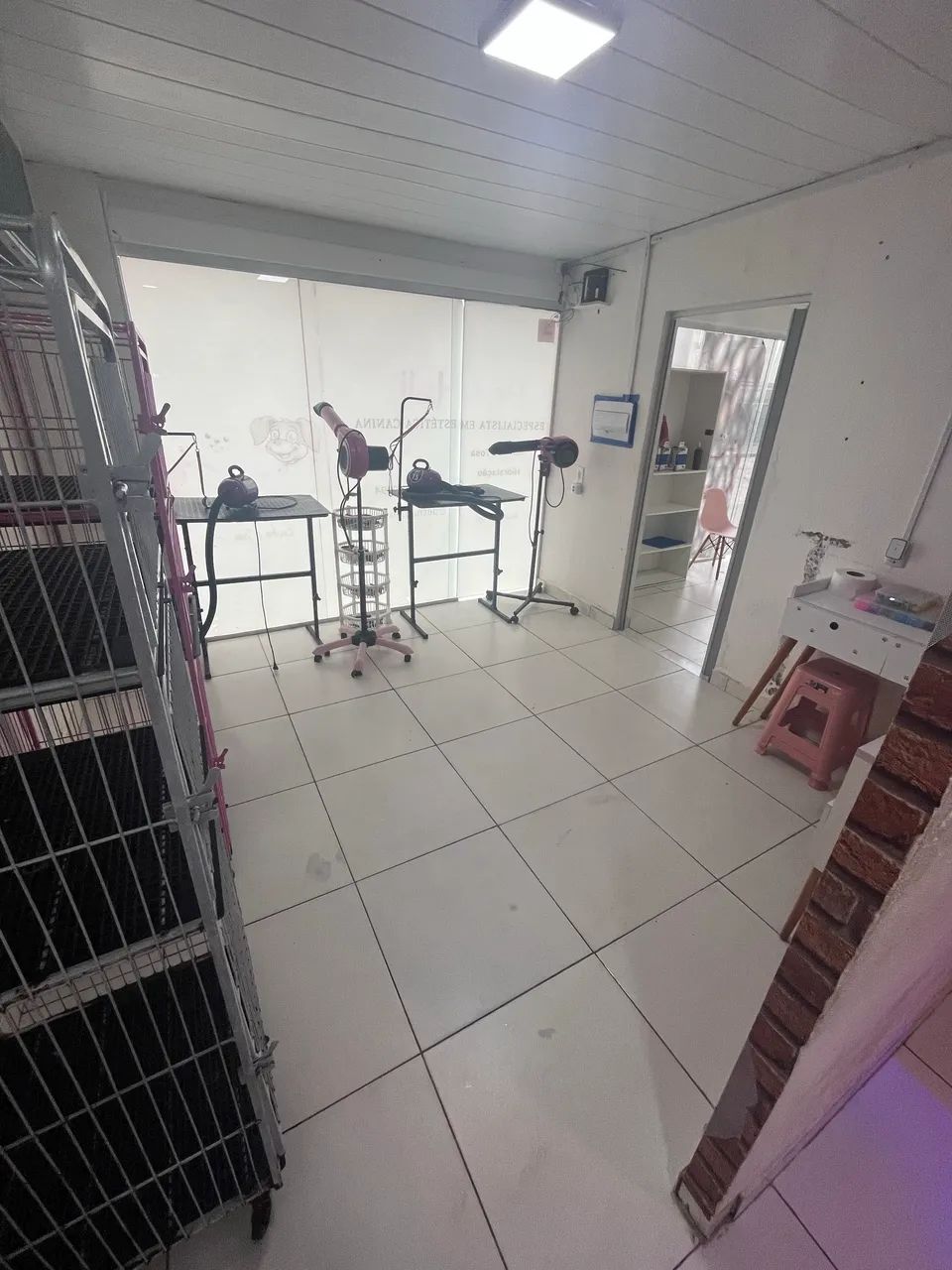 Repasse Petshop, Repasse Banho e Tosa - Foto 5