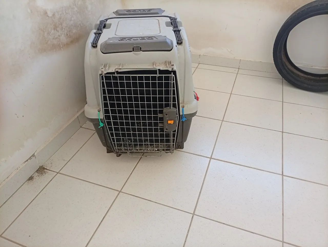 Caixa transporte de cachorro usada bom estado da andar em carro 
