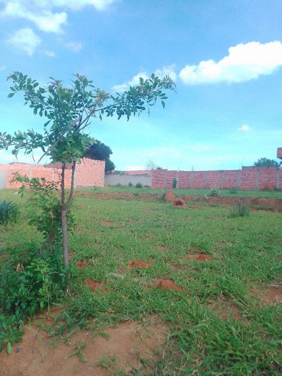 Araçoiaba aceita carro  - Foto 2
