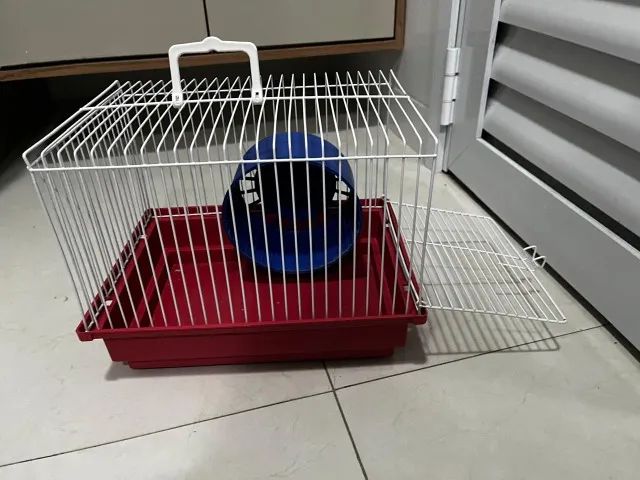 Casinha de hamster pequena64993722721923121
