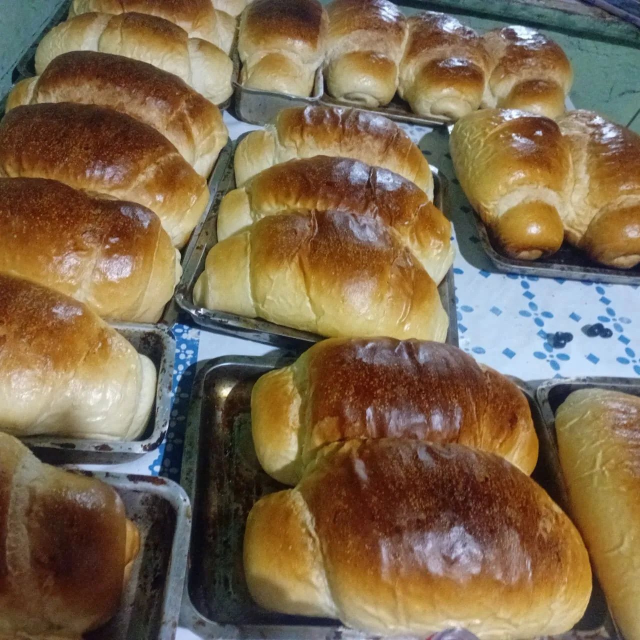  Pães - Foto 2