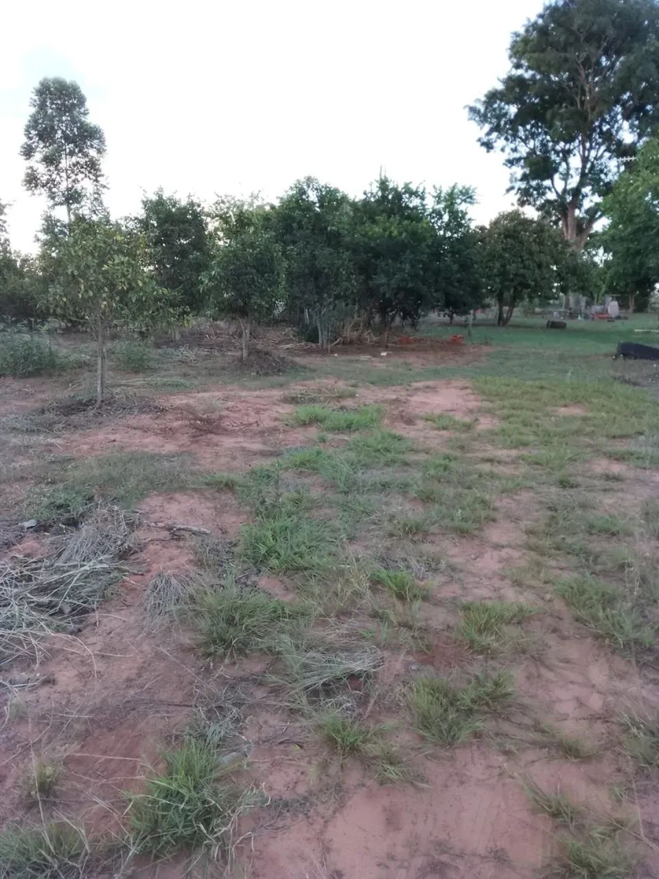 CÓD. 278 Chácara 7 ha | 30 km de Campo Grande - Foto 5
