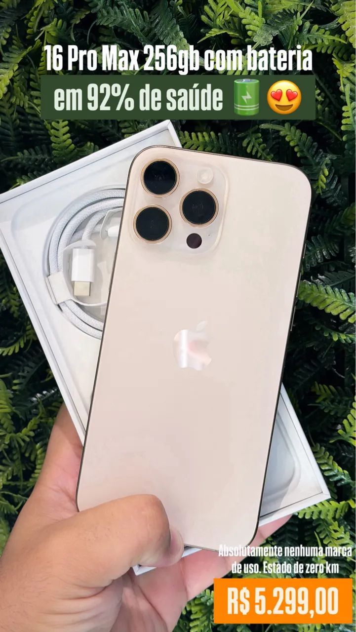 iPhone 16 Pro Max 256gb impecável 