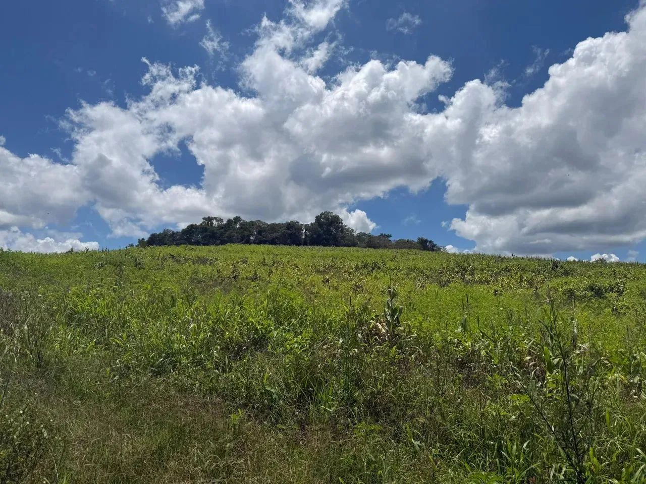 Terrenos para venda tem 1000 metros quadrados em Colégio - Ibiúna - SP - Foto 4