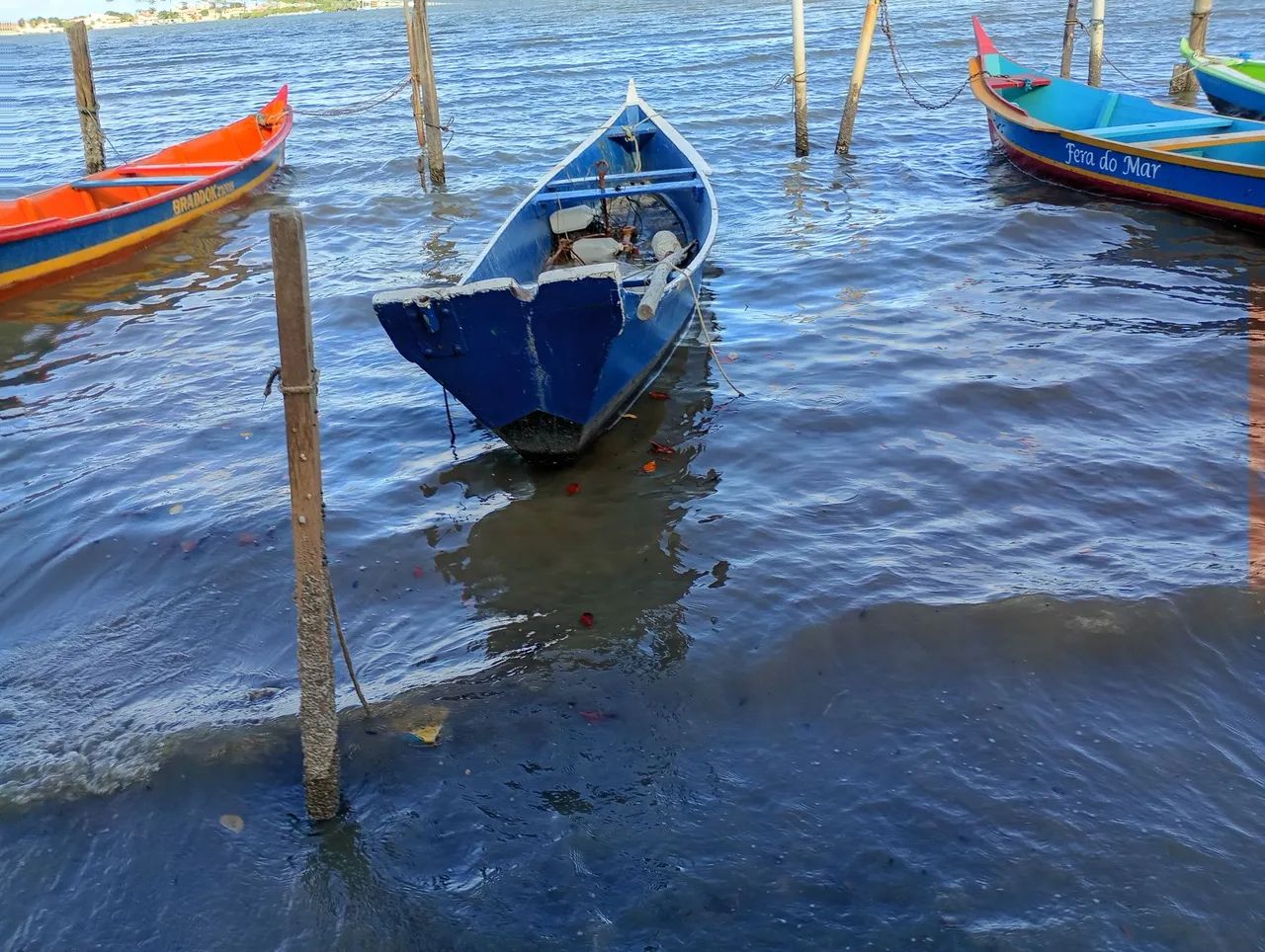 BARCO - Foto 4