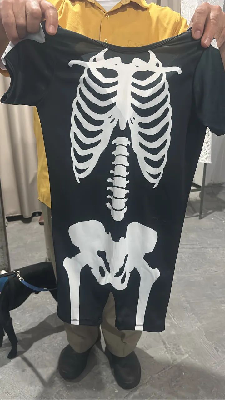 Fantasias infantil65181958067329120