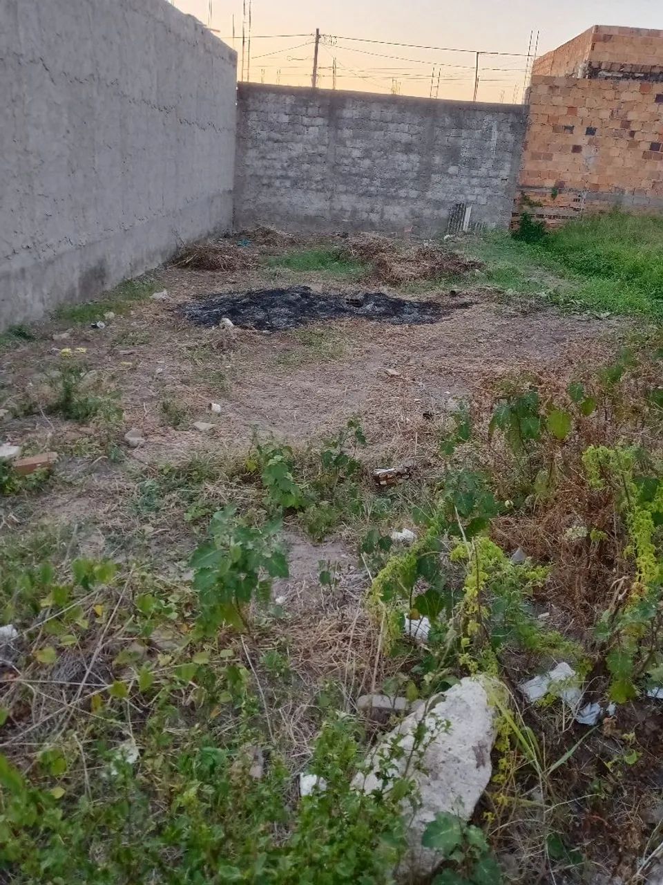 Terreno  - Foto 3