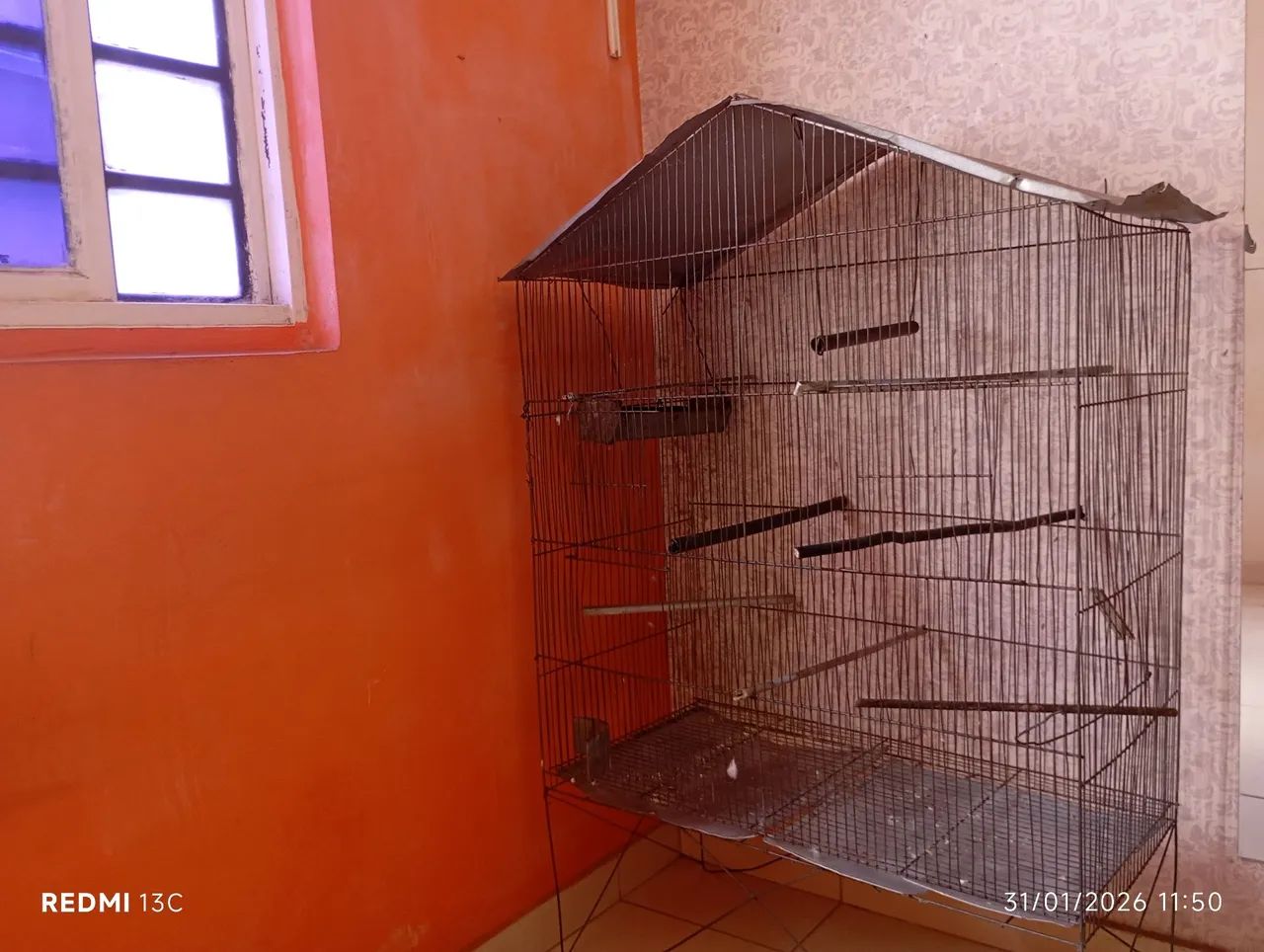 Viveiro para pássaros 