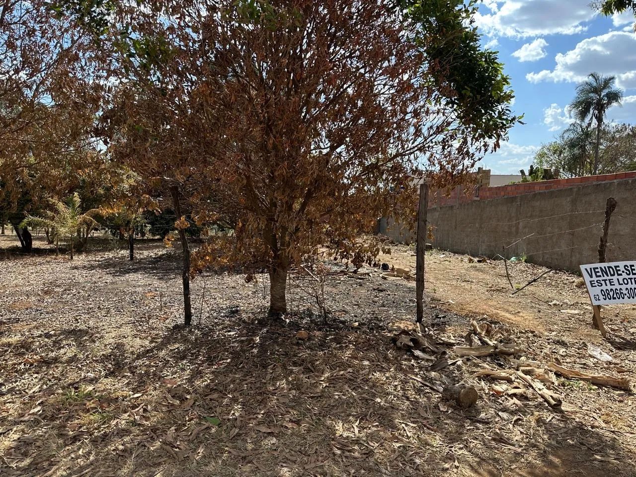 Lote em Aragoiania  - Foto 2