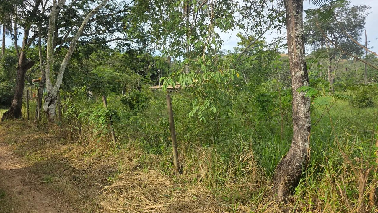 Terreno na paciencia  - Foto 5