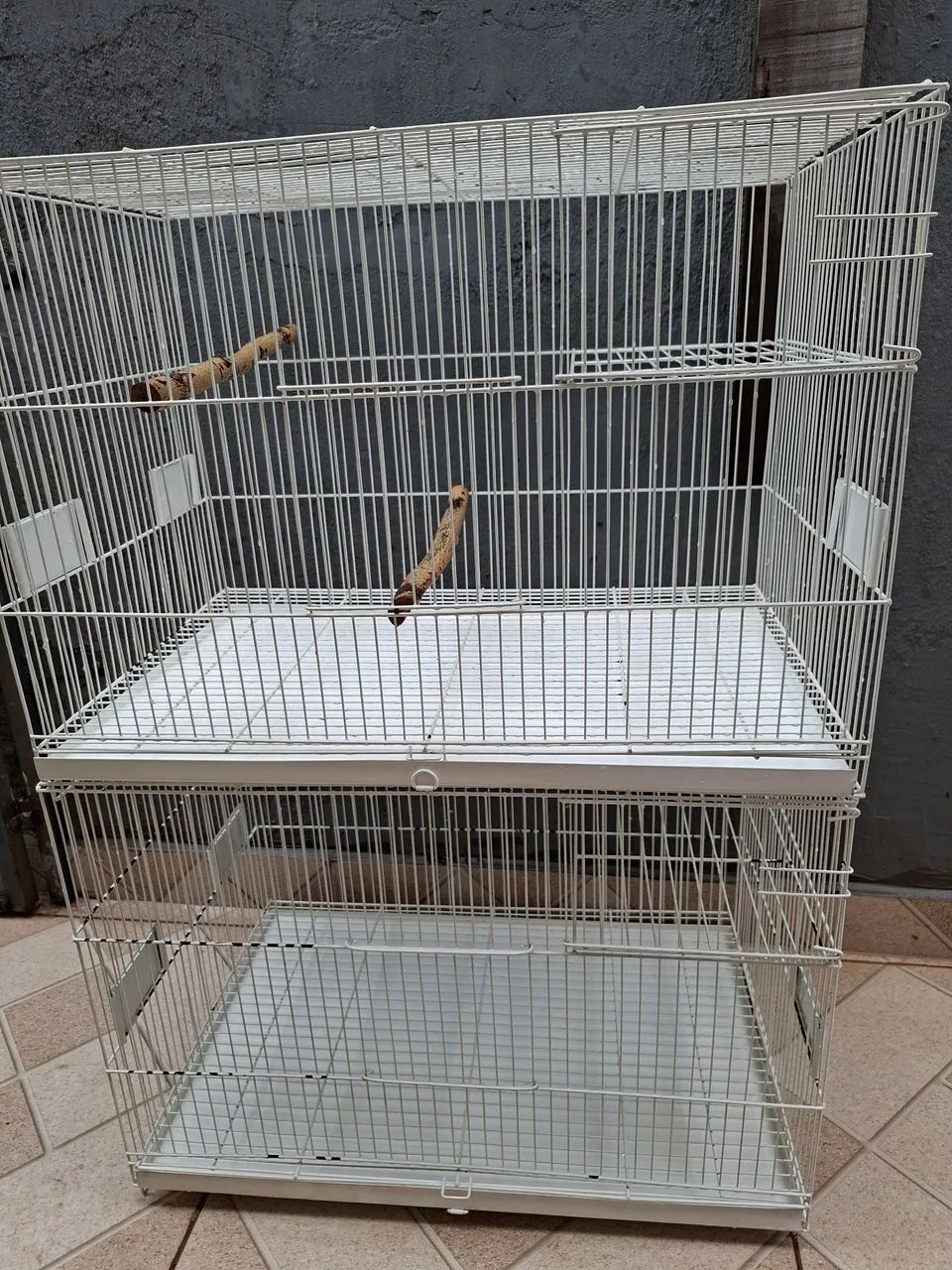 Criadeira Mônaco calopsita