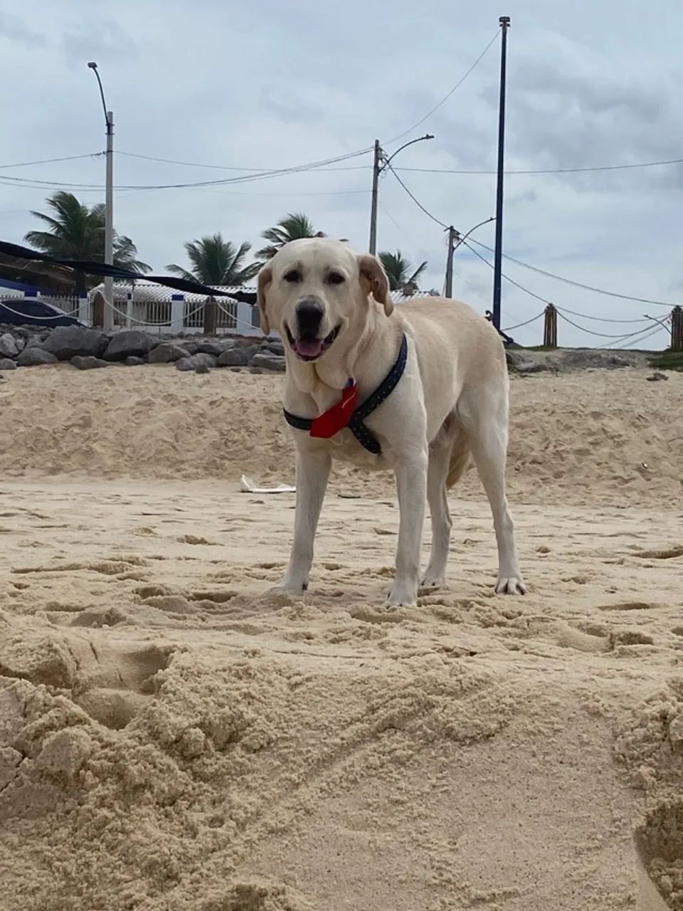 Casa de praia pé na areia e espaço Gourmet para festas e  happy hour - Foto 10