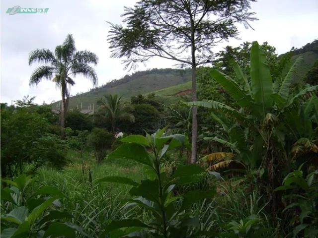 Terreno - Juiz de Fora MG - Foto 4