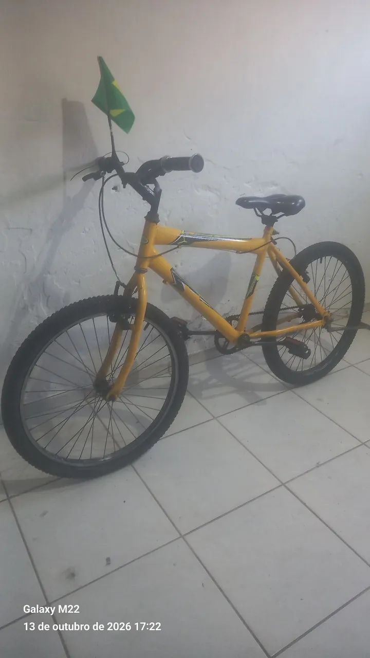 Bicicleta