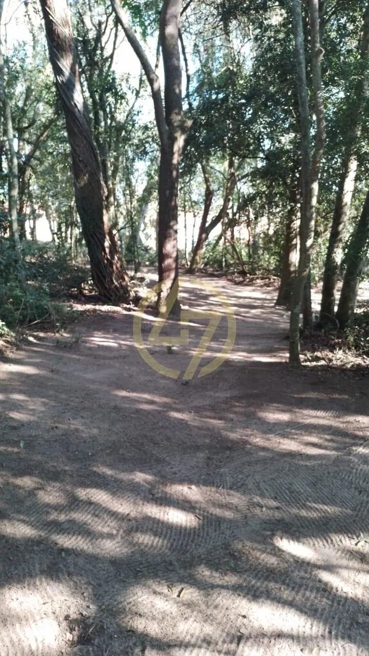 Chácara em Bairro do Porto - Itapetininga - Foto 4