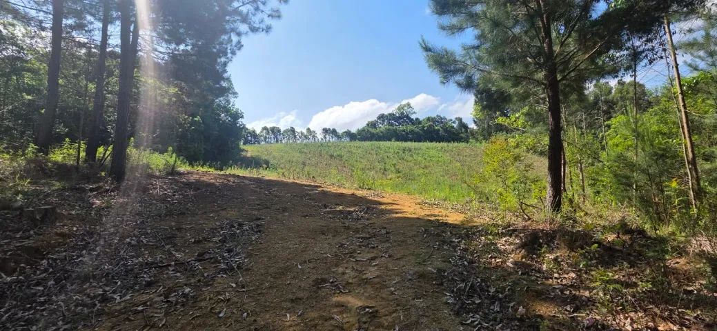 Chácara em Contenda 30,250m2