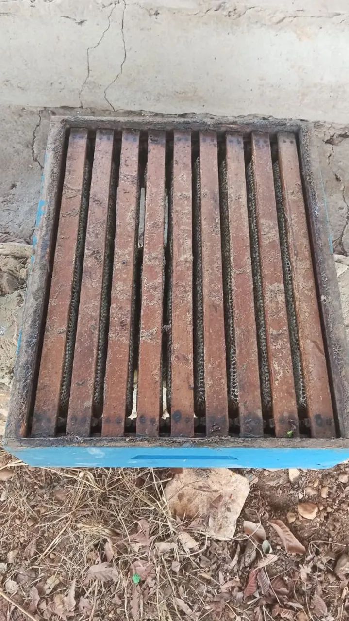 Mel de abelha puro - Foto 3