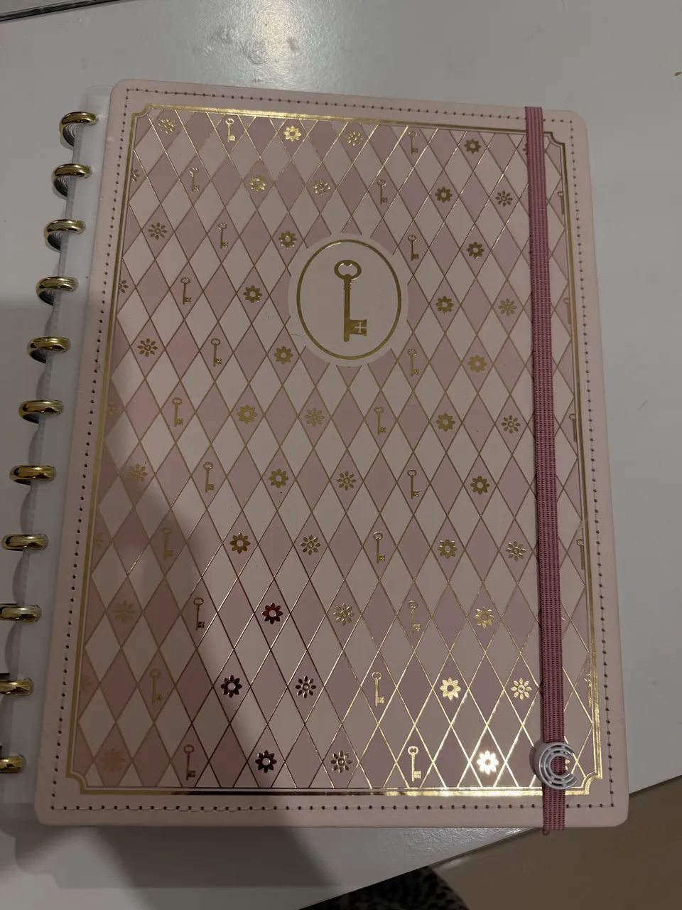 Caderno Inteligente Isabela Akkari 