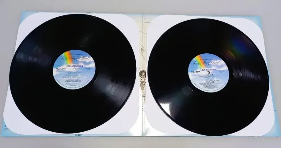 Lp Duplo Lynyrd Skynyrd Gold & Platinum (importado) - Foto 2