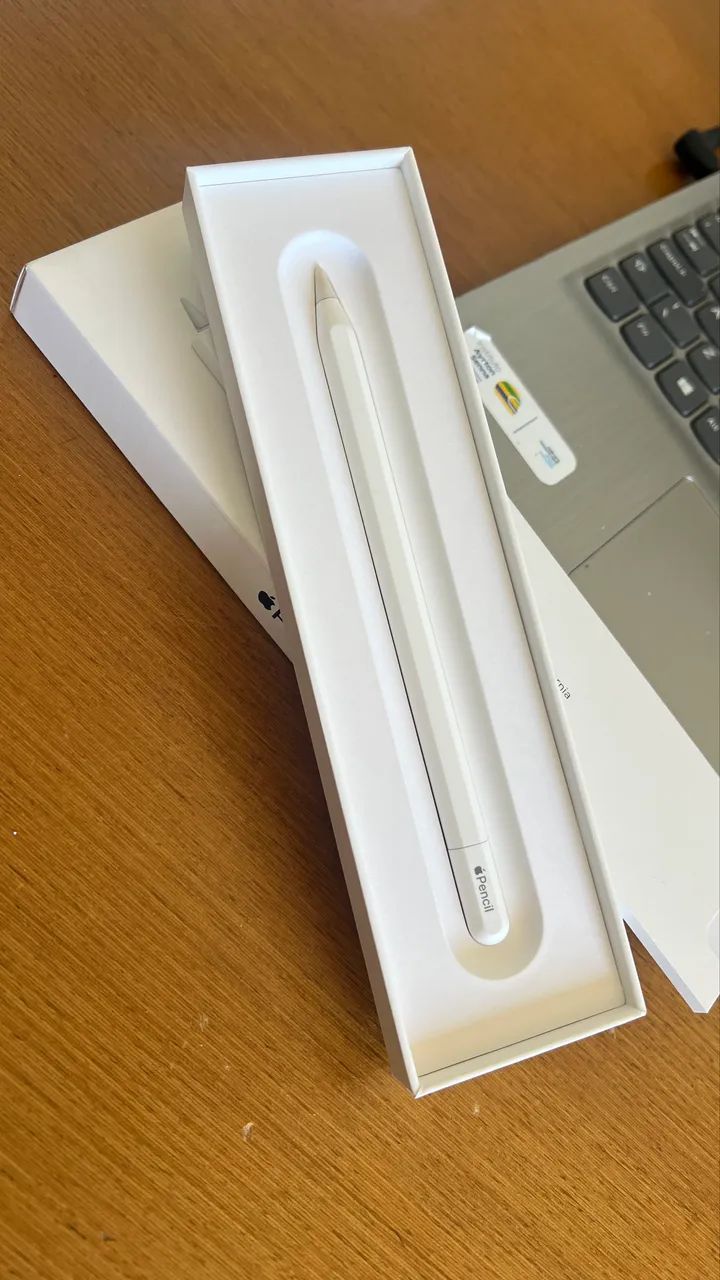 Apple Pencil USB-C - Celulares e Smartphones - Rui Pinto Bandeira