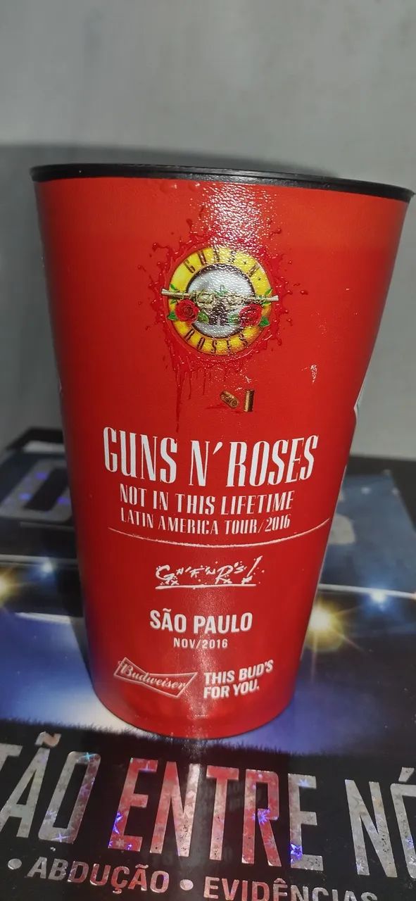 Copo show Guns n roses 2016