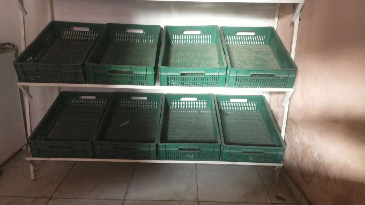 Fruteira expositora com 12 basquetas 