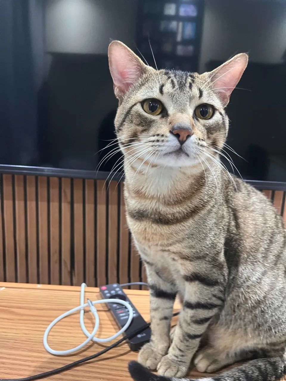 Doação 
