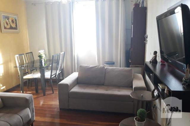 Apartamento à venda com 3 dormitórios em Salgado filho, Belo horizonte cod:249666 - Foto 5