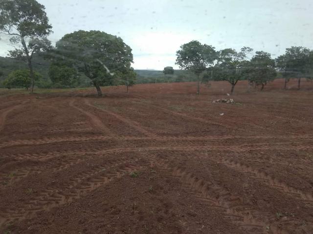 Fazenda em Guiratinga 680Hectares - Foto 9