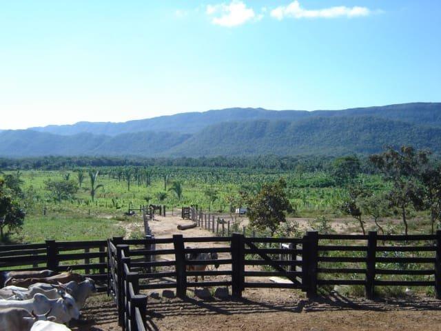 Terra em RosarioOeste 784,7 Hectares