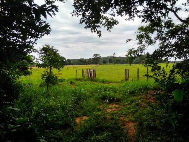 Fazenda em Guiratinga 680Hectares - Foto 3