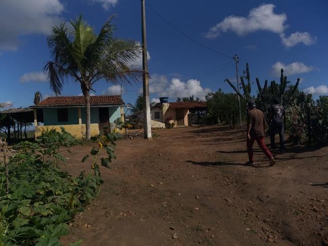Propriedade de 8 hectares-toda cercada-com 2 casas, a 5 km de Apoti-PE - Foto 2