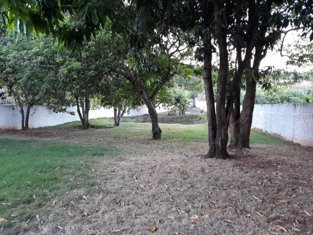 Excelente chácara dentro da cidade com asfalto na porta - Foto 15