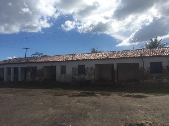 Fazenda psicultura - Foto 2