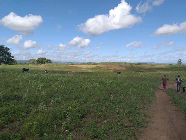 Propriedade de 8 hectares-toda cercada-com 2 casas, a 5 km de Apoti-PE - Foto 8