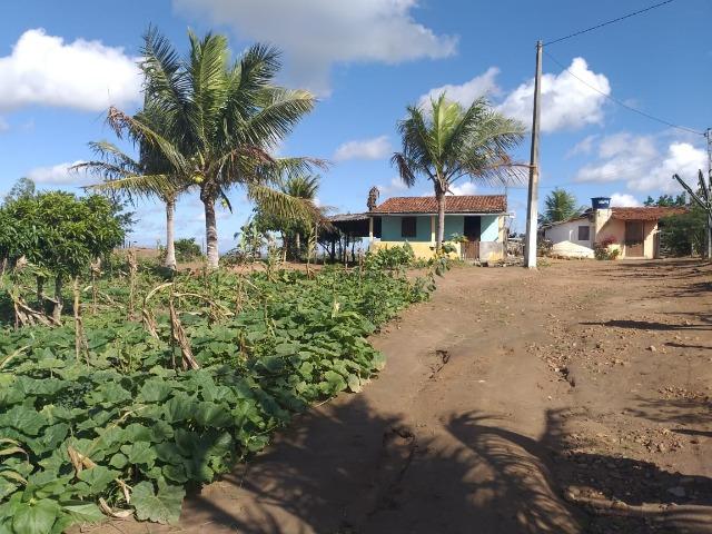 Propriedade de 8 hectares-toda cercada-com 2 casas, a 5 km de Apoti-PE - Foto 4