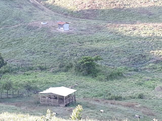 Vendo propriedade união dos Palmares - Foto 3