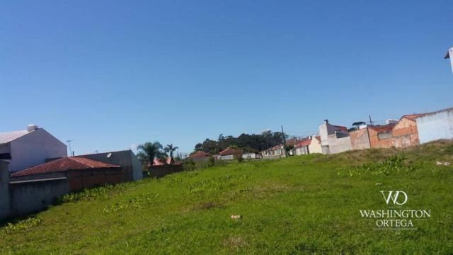 Terreno à venda, 2952 m² por r$ 2.300.000,00 - afonso pena - são josé dos pinhais/pr - Foto 7