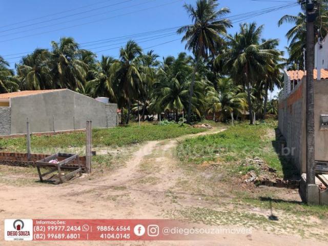 Terreno para venda em marechal deodoro, barra nova - Foto 2