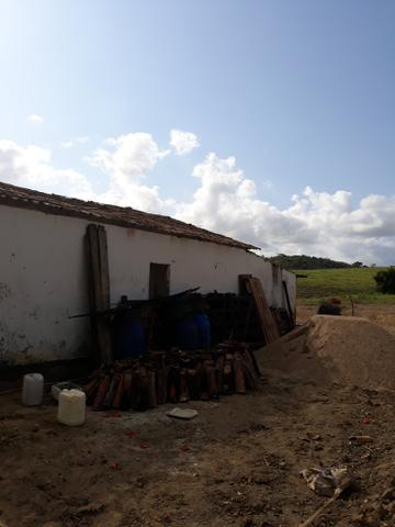 Vendo uma das melhores propriedade união dos Palmares - Foto 7