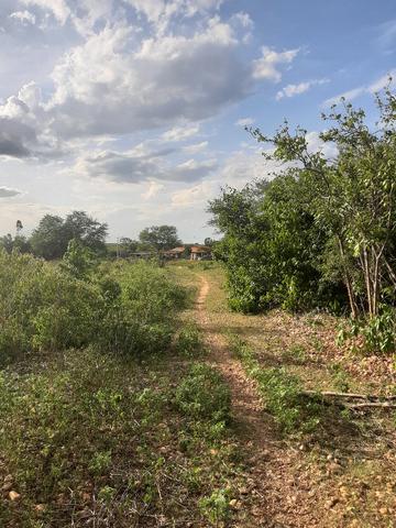 Vendo fazenda ou troco - Foto 4