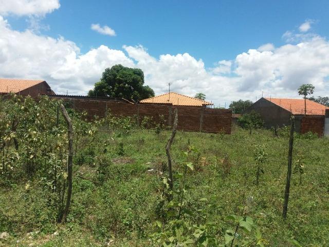 Terreno