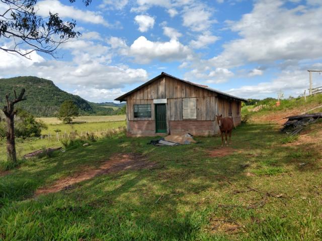 Chácara 5.000 m² - lomba grande - novo hamburgo - rs - Foto 7