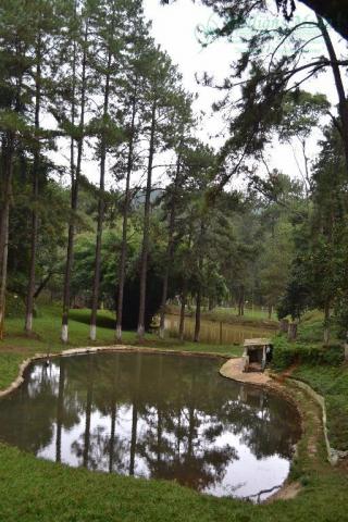 Área à venda, 72.944 m² por r$ 12.000.000 - jardim paraíso - guarulhos/sp
