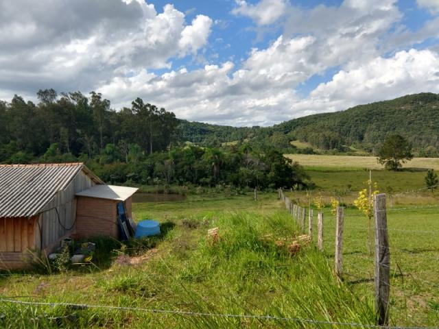 Chácara 5.000 m² - lomba grande - novo hamburgo - rs - Foto 2