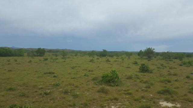 Fazenda de 468 Hectares em Boa Vista - Foto 4